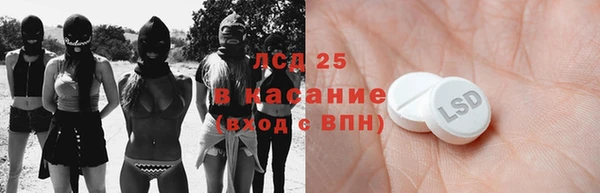 прущие грибы Волоколамск