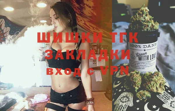 прущие грибы Волоколамск