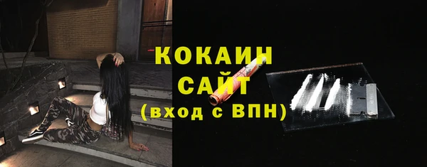 прущие грибы Волоколамск