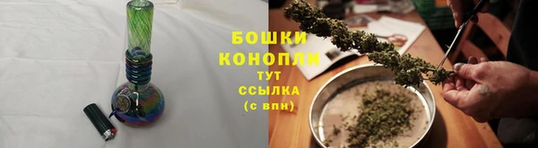 прущие грибы Волосово
