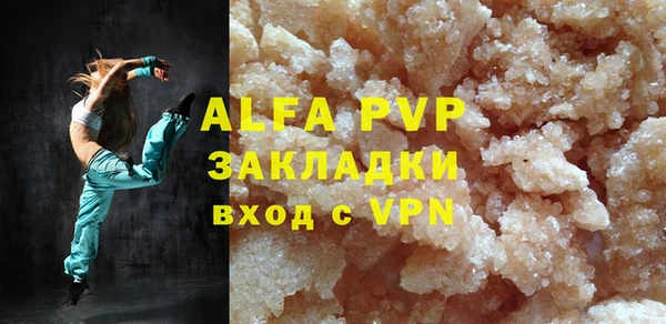 прущие грибы Волосово