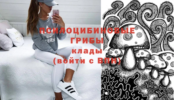 прущие грибы Волоколамск