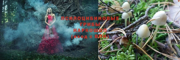 прущие грибы Волосово