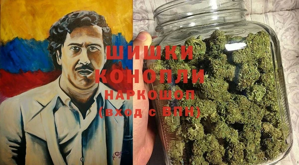 прущие грибы Волоколамск