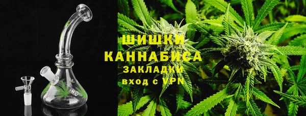 прущие грибы Волоколамск
