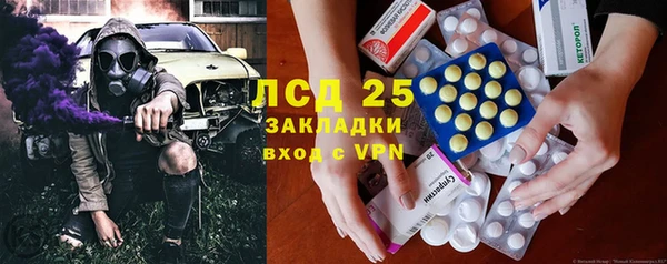 прущие грибы Волосово