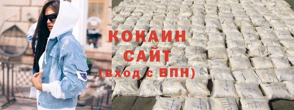 прущие грибы Волоколамск