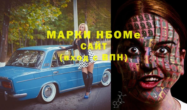 прущие грибы Волосово