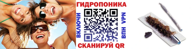 Конопля VHQ  Нурлат 